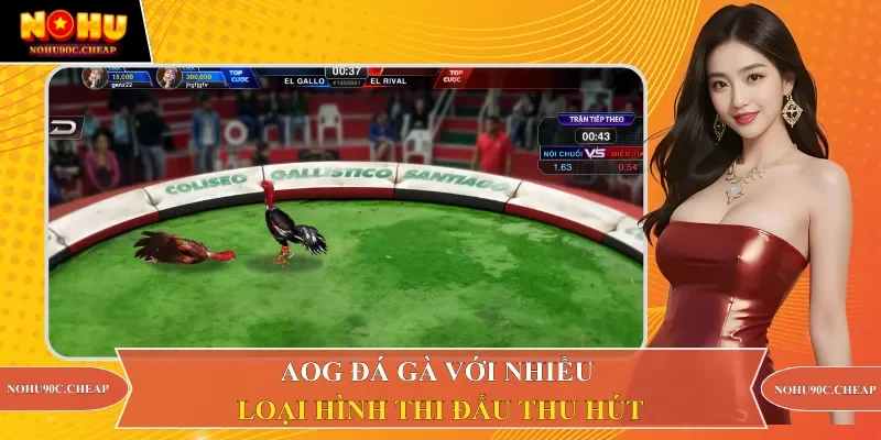 AOG Đá gà với nhiều loại hình thi đấu thu hút